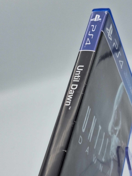Until Dawn